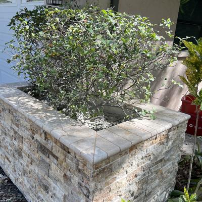 Split Face Planter 2