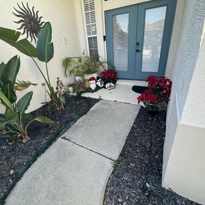 Pool Deck Driveway 10